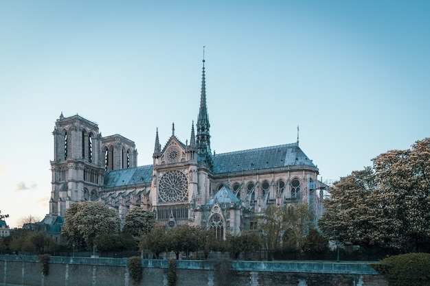 Katedra Notre Dame De Paris