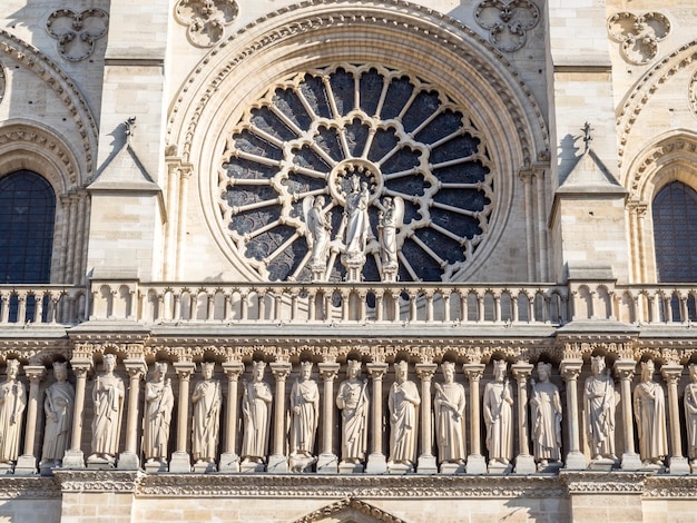 Katedra Notre Dame jest symbolem Paryża Francja pod błękitnym niebem