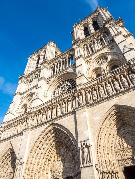 Katedra Notre Dame Jest Symbolem Paryża Francja Pod Błękitnym Niebem