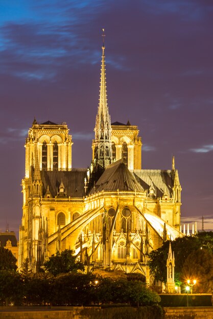 Katedra Notre Dame Paryż zmierzchu