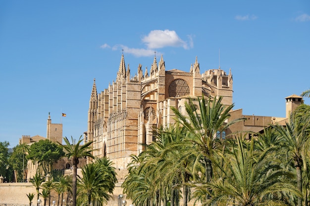 Zdjęcie katedra santa maria w palma de mallorca, hiszpania