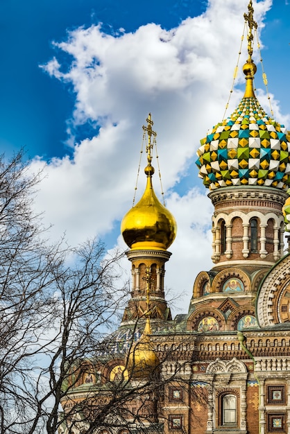 Katedra Zbawiciela na rozlaną krew. Zbliżenie. Sankt Petersburg. Rosja.