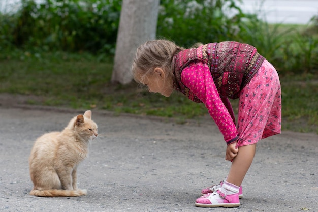 Kaukaska dziewczynka w wieku czterech lat patrząca na kota w letnim parku