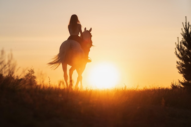 Kaukaska kobieta i trening koni podczas zachodu słońca