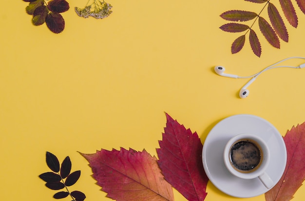 Kawa z herbarium i hełmofonami na żółtym tle. Jesień.