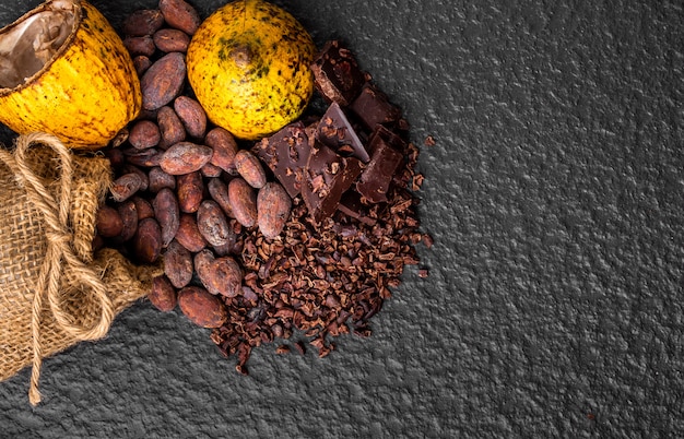 Kawałki ciemnej czekolady zmiażdżone i ziarna kakaowego, widok z góry