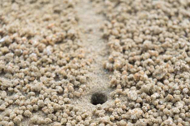 Kawały piasku wokół dziury kraba