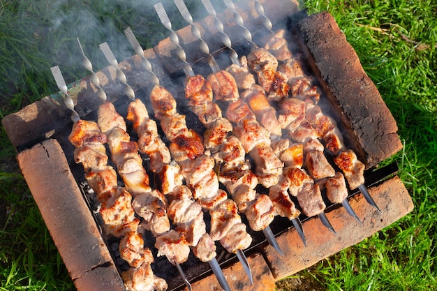 Kebab wieprzowy na szaszłykach smażony jest na ceglanym grillu w letni dzień Piknik na świeżym powietrzu