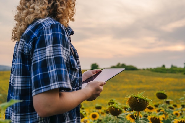 Zdjęcie kędzierzawa kobieta agronom bada kwitnące słoneczniki trzymając tabletkę na polu inteligentne rolnictwo technologie rolnicze