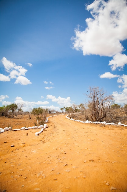 Kenia. Błękitne Niebo Na Tej Pomarańczowej Drodze Pośrodku Afrykańskiej Sawanny, Park Narodowy Tsavo East