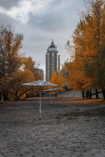 Kijów Ukraina Odwiedzający Park Natalka w rejonie Obolon w Kijowie karmią i fotografują łabędzie i kaczki na naddnieprzańskiej Ukrainie