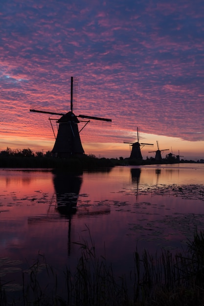 Zdjęcie kinderdijk w holandii o wschodzie słońca