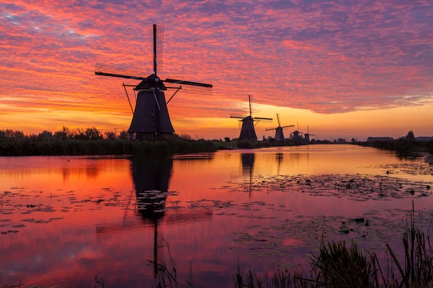 Zdjęcie kinderdijk w holandii o wschodzie słońca