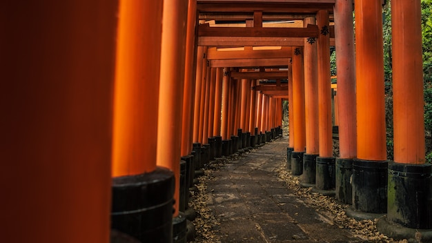 Kioto, Japonia-14 kwietnia 2019: Piękne czerwone bramy Tori w słynnej świątyni Fushimi Inari-Taisha. Ścieżka z tysiącami torii w górskiej świątyni shinto. Japońskie sanktuarium o tradycyjnej architekturze