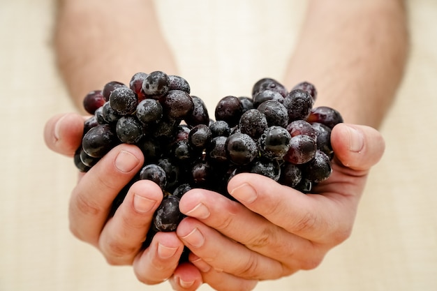 Kiście naturalnych ekologicznych rolników czarne winogrona na czarnym talerzu tło widok z góry bliska filiżanka