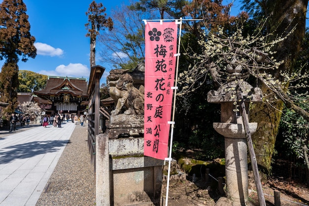 Kitano Tenmangu Shrine śliwkowy festiwal kwitnący wiosną Kioto Japonia