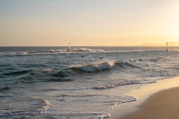 Kitesurferzy na falach oceanu i ptaki latają nad wodą na tle złotego zachodu słońca na plaży