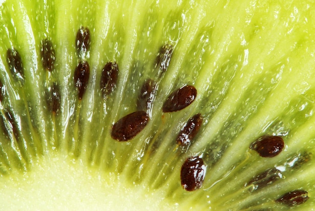 kiwi