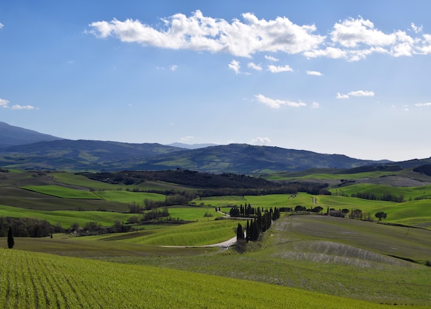 Klasyczny krajobraz Toskanii w Val d Orcia