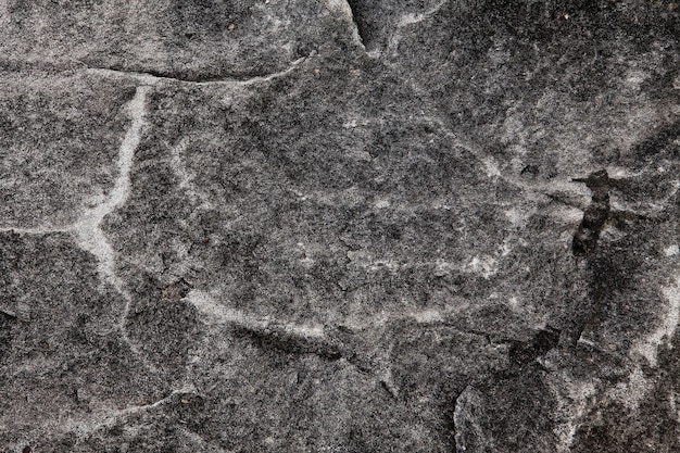 Klasyczny Trawertyn Marmur Tekstury Tła