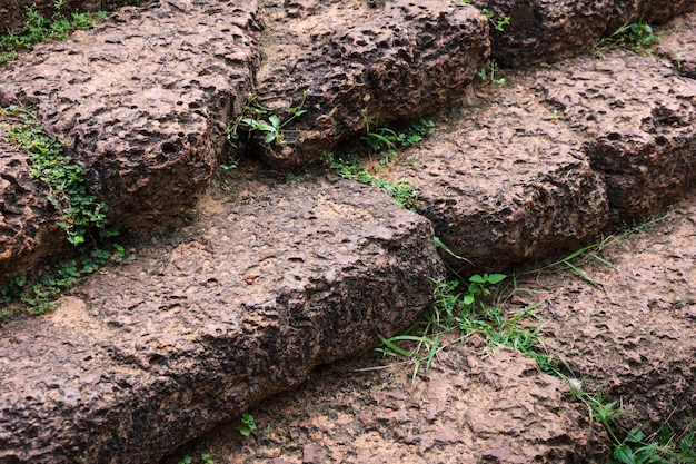 Klatka schodowa porośnięta trawą