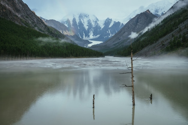 Klimatyczny krajobraz alpejski z suchym drzewem w zielonej wodzie górskiego jeziora z zaśnieżonych gór w pochmurną pogodę. Ponura sceneria z zielonym jeziorem z deszczowymi kręgami i niskimi chmurami w górskiej dolinie