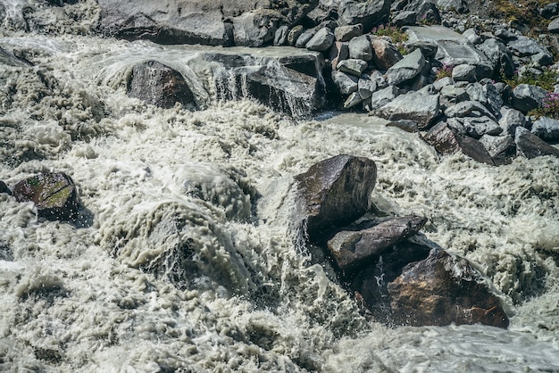 Klimatyczny Krajobraz Z Potężnymi Bystrzami Wzburzonej Górskiej Rzeki Z Szarą Wodą Wśród Wielkich Głazów. Piękna Sceneria Z Rwącą Górską Rzeką Na Morenach I Małymi Różowymi Kwiatkami Wśród Kamieni.