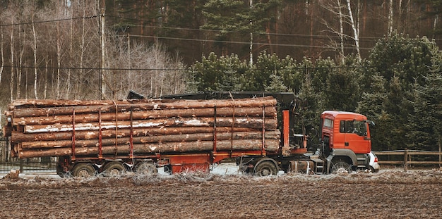Zdjęcie kłody pni drzew załadowane na ciężarówkę