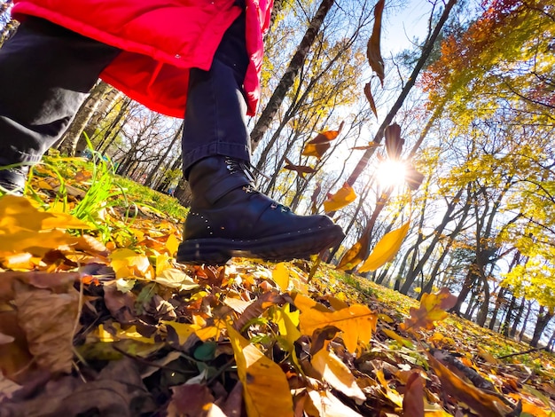 Kobiece nogi w butach na jesiennych liściach Kopanie suchych liści w parku