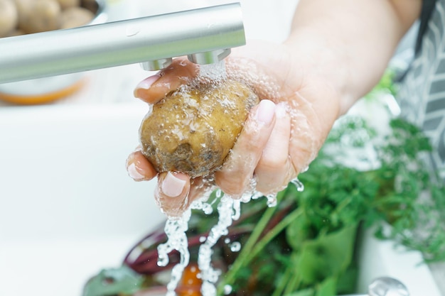 Kobiece ręce myjące świeże nieobrane ziemniaki pod strumieniem wody z kranu w zlewie kuchennym zbliżenie Gotowanie przygotowuje składniki