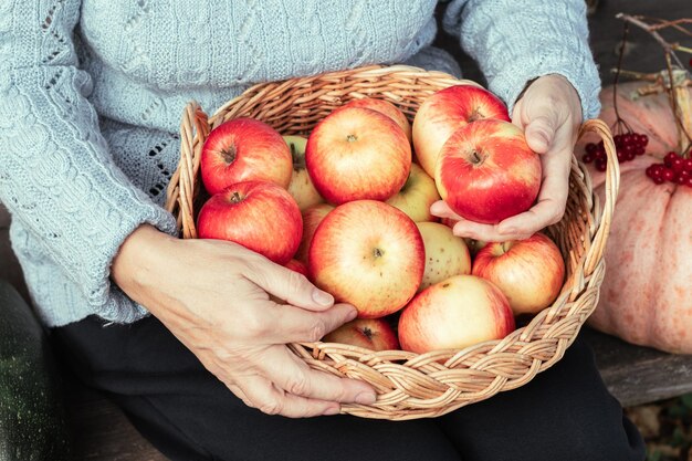 Kobiece ręce trzymają wiklinowy kosz z dojrzałymi czerwonymi jabłkami
