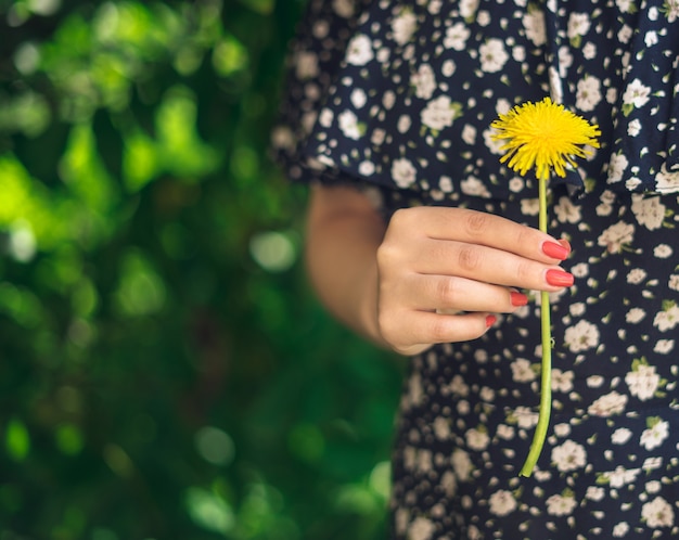 Kobiece ręce trzymając żółty kwiat