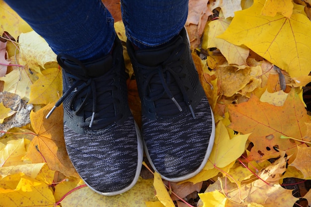 kobiece stopy w tenisówkach na ziemi pokryte żółtymi jesiennymi liśćmi, zbliżenie