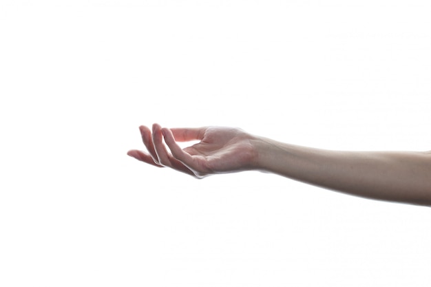 Zdjęcie kobiecej ręki na białym tle