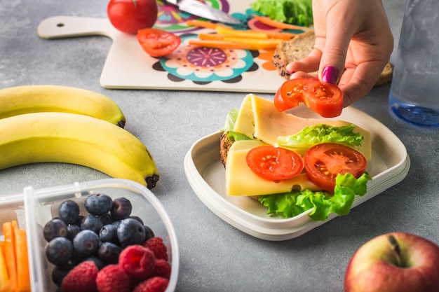 Kobiet ręki robią jarzynowej kanapce dla lunchu pudełka