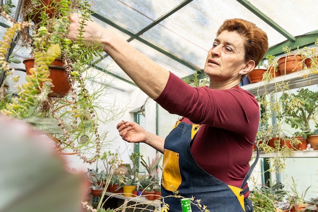 Kobieta Badająca Swoje Zielone Rośliny