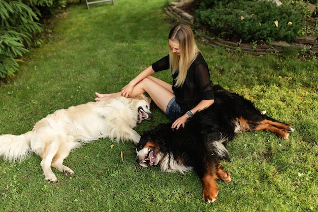 Zdjęcie kobieta bawi się z psem labrador i sennenhund na świeżym powietrzu w zielonym parku. przyjaźń ludzi i zwierząt