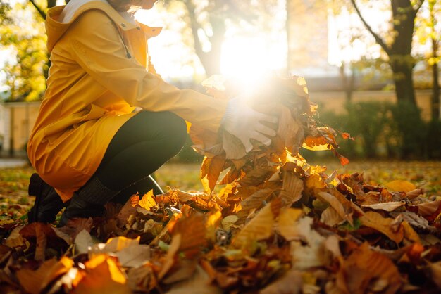 Kobieta czyści jesienny park z żółtych liści Koncepcja wolontariatu sprzątania Sezonowe ogrodnictwo