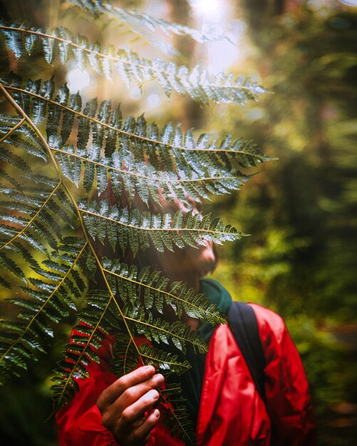 Zdjęcie kobieta dotykająca liści roślin w lesie
