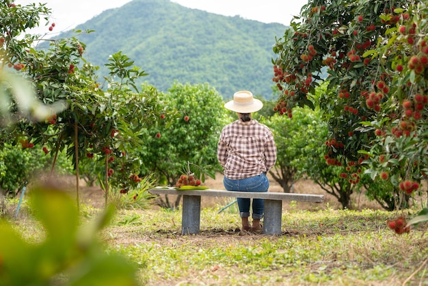 Kobieta Farmer zmęczona, gdy pracuje z tabletem w celu sprawdzenia jakości owoców Rambutan w Farming