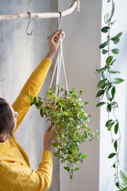 Kobieta Freelancer Trzyma Wieszak Na Rośliny Makramy Z Tradescantia Rośliny Doniczkowej Na Szarej ścianie