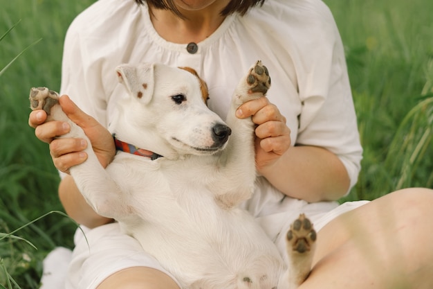 Kobieta gra Jack Russell Terrier pies na łące. Kobieta przytula psa Jack Russell Terrier w przyrodzie.