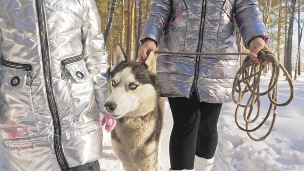 Kobieta i małe dziecko spaceru w zimowym lesie z psem husky Młoda matka z córką w parku z psem husky Przyjaźń zwierzę człowiek