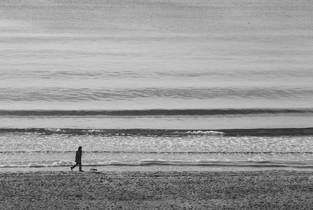 Kobieta i pies spacerujący po czarno-białym piasku na plaży