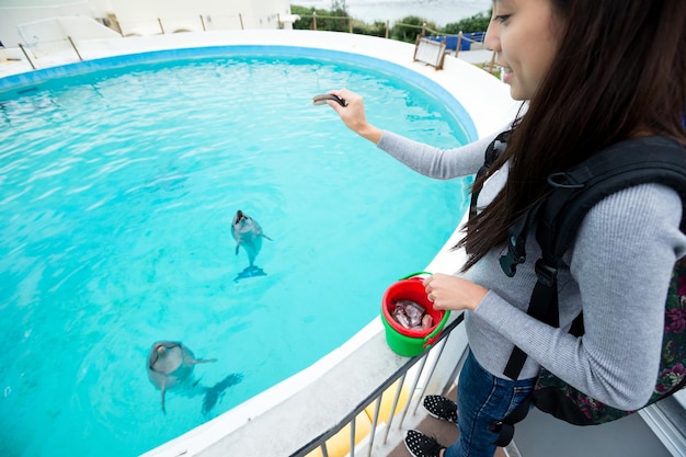 Zdjęcie kobieta karmiąca delfina w akwarium