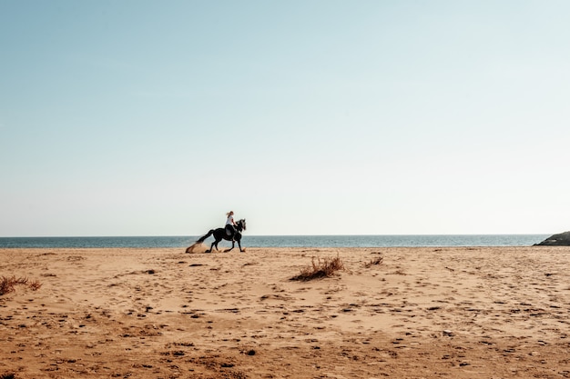 Kobieta Na Koniu Na Plaży