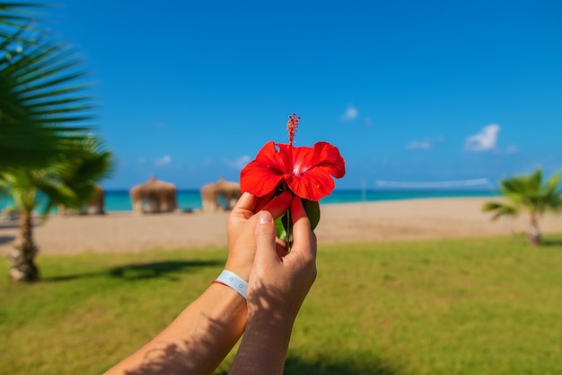 Kobieta na wakacjach nad morzem kwiat hibiskusa w ręce. Selektywne skupienie.