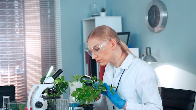 Zdjęcie kobieta naukowiec patrząc na roślinę pod lupą, jest w okularach ochronnych, pracując w ...