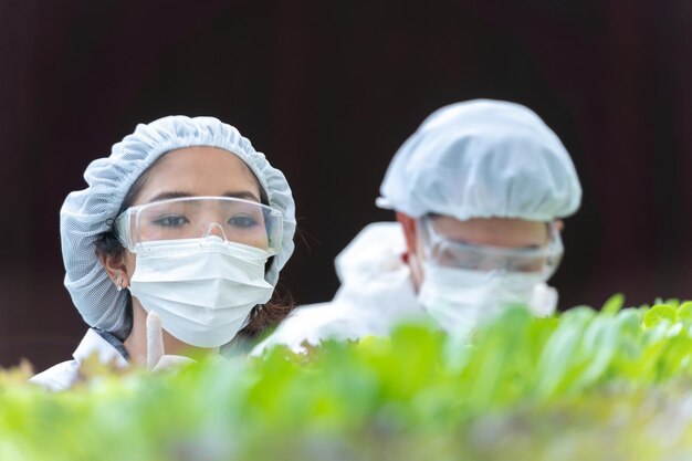 Kobieta naukowiec sprawdzająca do zbioru warzyw z farmy hydroponicznej. Farma warzywna hydroponika. Koncepcja uprawy organicznych warzyw i zdrowej żywności.