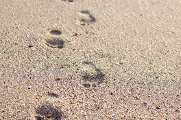 kobieta nogi chodzenie nad brzegiem morza piaski plaży ślady słońca letnie wakacje oceanu morze fale